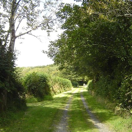 Holdstrong Farmhouse Lydford Екстер'єр фото